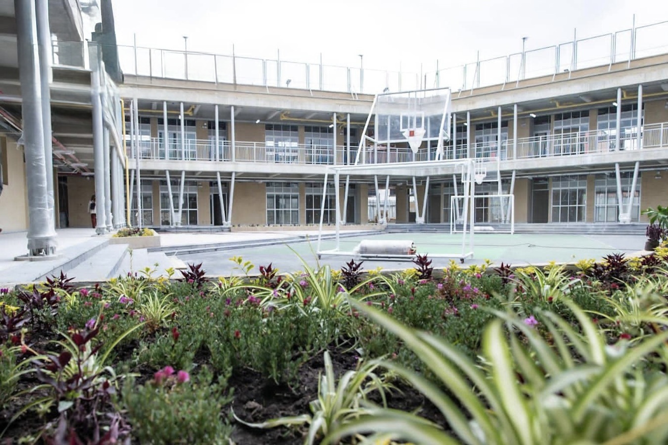 Imagen colegio san francisco de asis